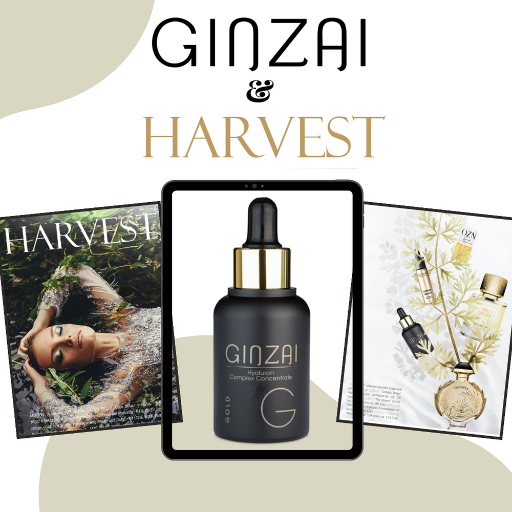 Hyaluron Serum mit Ginseng