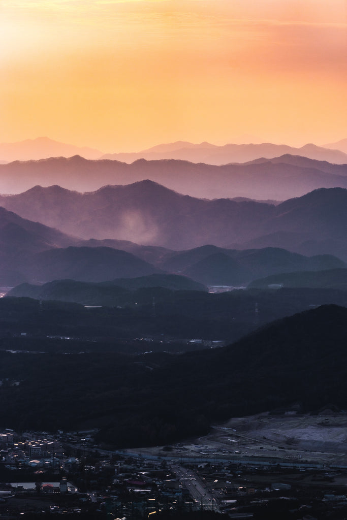 The ginseng guru, the mountain forest, the root and its superpowers