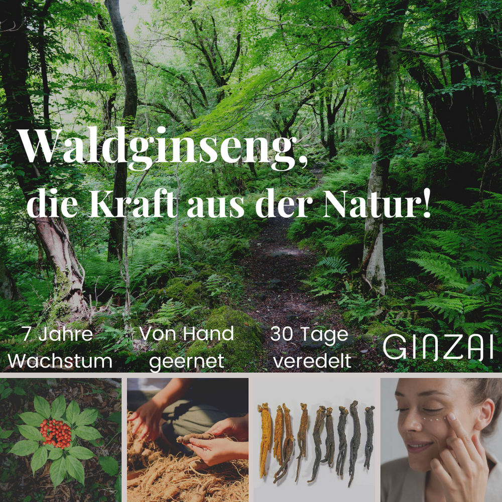 Hand and nail cream with ginseng